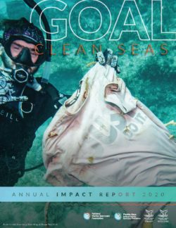 2021_Goal_Clean_Seas_r3_Page_1